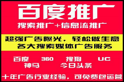 百度推广平台案例剖析：揭秘广告投放策略